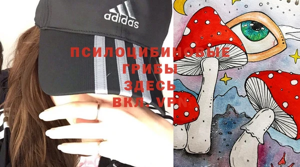 MDMA Куйбышев