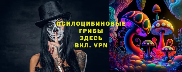 мет Ладушкин