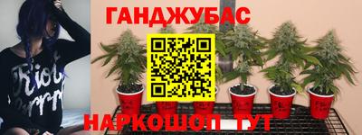 соль ск Заволжье