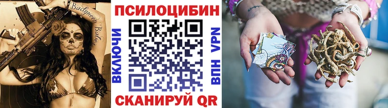 площадка наркотические препараты  blacksprut ссылки  Киреевск  Псилоцибиновые грибы Cubensis 