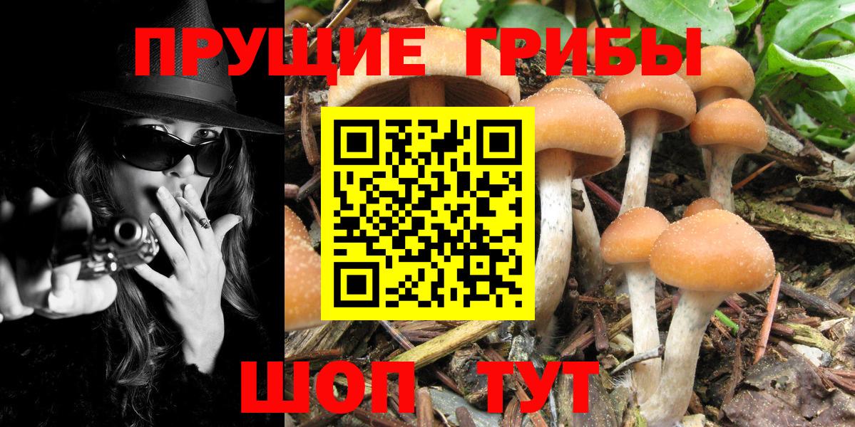 Псилоцибиновые грибы ЛСД Киреевск