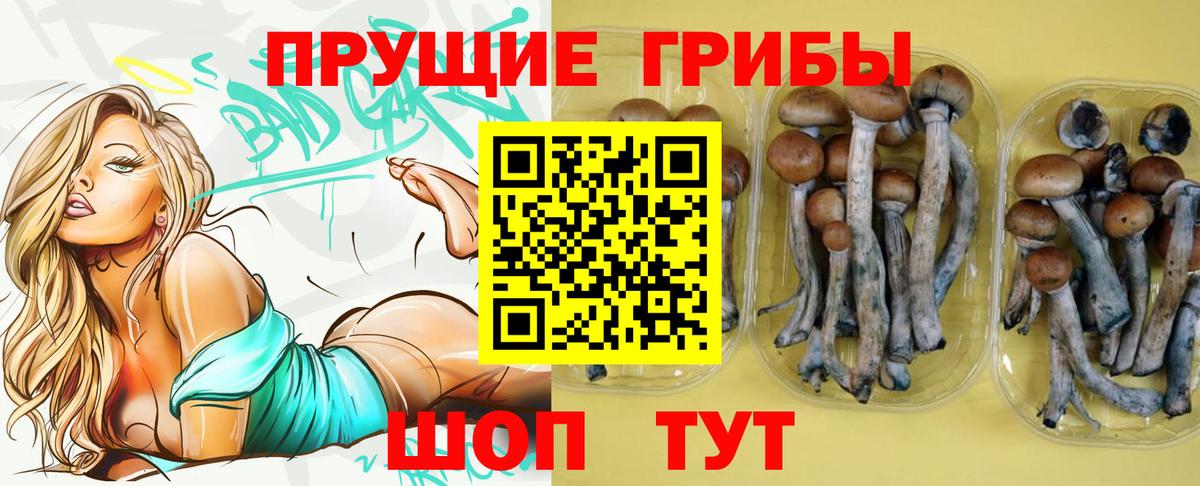 Псилоцибиновые грибы Psilocybe  Вход с VPN  Киреевск 