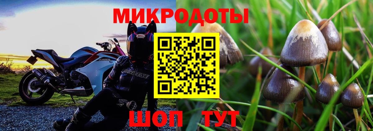 Галлюциногенные грибы Cubensis Киреевск