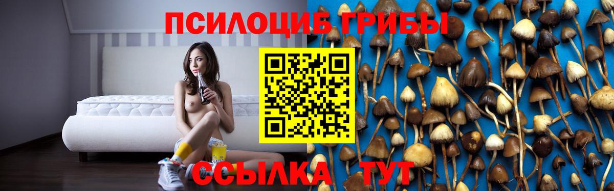 Галлюциногенные грибы ЛСД  Псилоцибиновые грибы Psilocybe  Киреевск 
